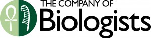COB1c